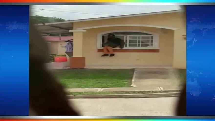 Captan infraganti a delincuente que ingresa a casa en Arraiján para robar