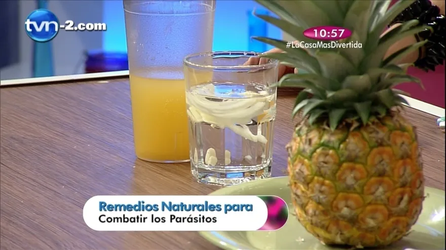 Yerbatero - Remedios para combatir los parásitos