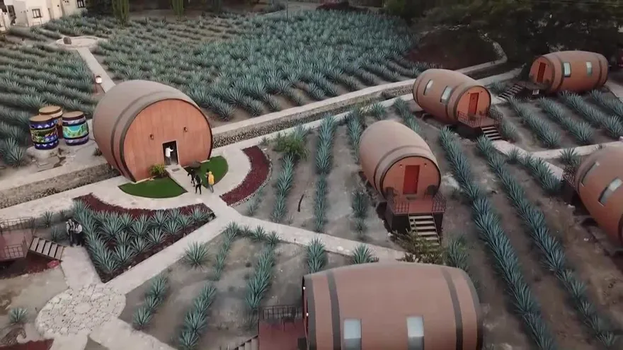 Hotel invita a dormir en barricas de tequila