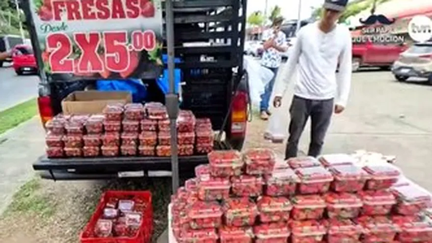 Una deliciosa venta de fresas