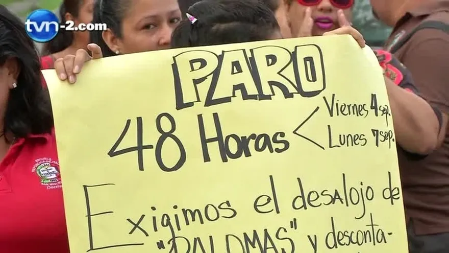 Banda de palomas provoca enfermedades en estudiantes de escuela primaria en San Miguelito