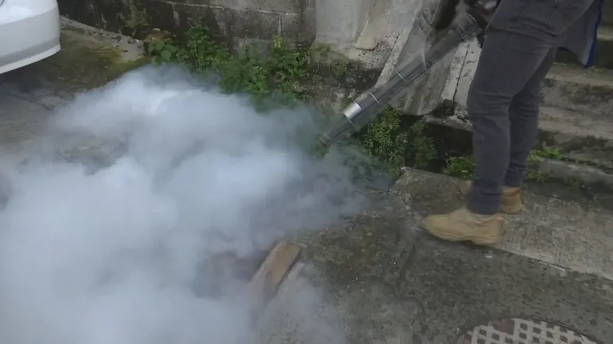 Autoridades refuerzan acciones contra el dengue ante alza de casos en Colón.