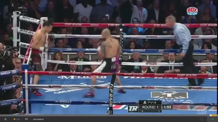 Triunfo por KO de Miguel Angel Cotto sobre Sergio Mart