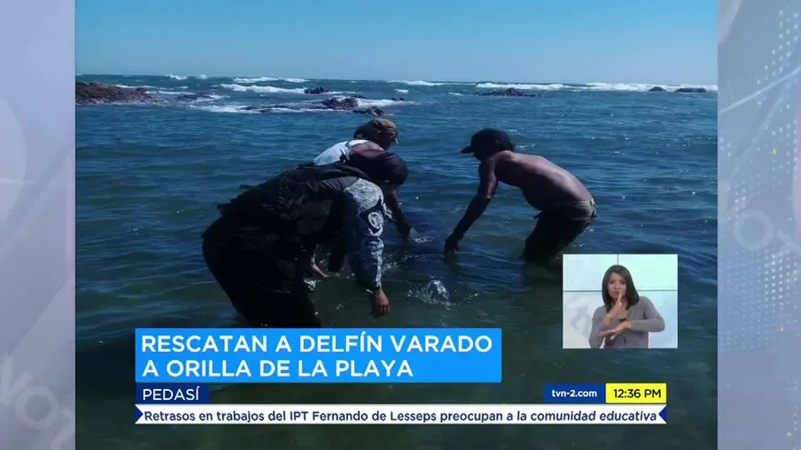 Noticiero MD 1 de marzo del 2018 - Bloque 3