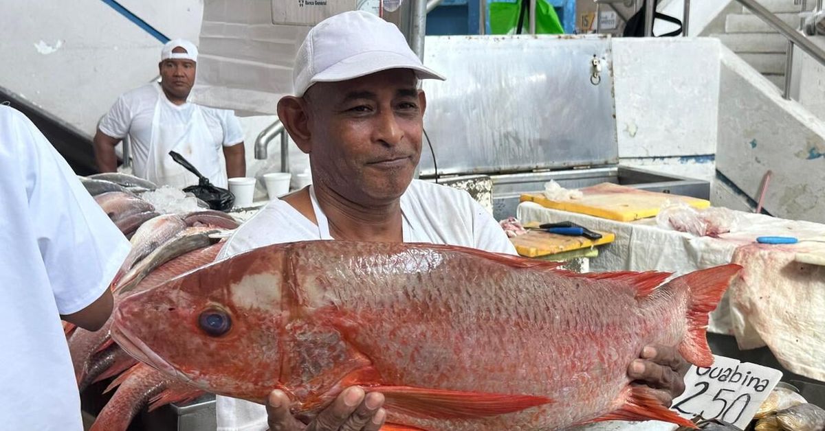 Alcaldía de Panamá informa horarios de mercados y espacios públicos para el Día de los Mártires