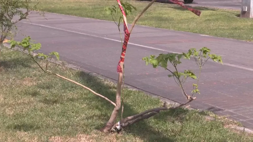 Autoridad del Tránsito anuncia que inversión de carriles en Panamá Oeste y otros puntos de la capital serán permanente