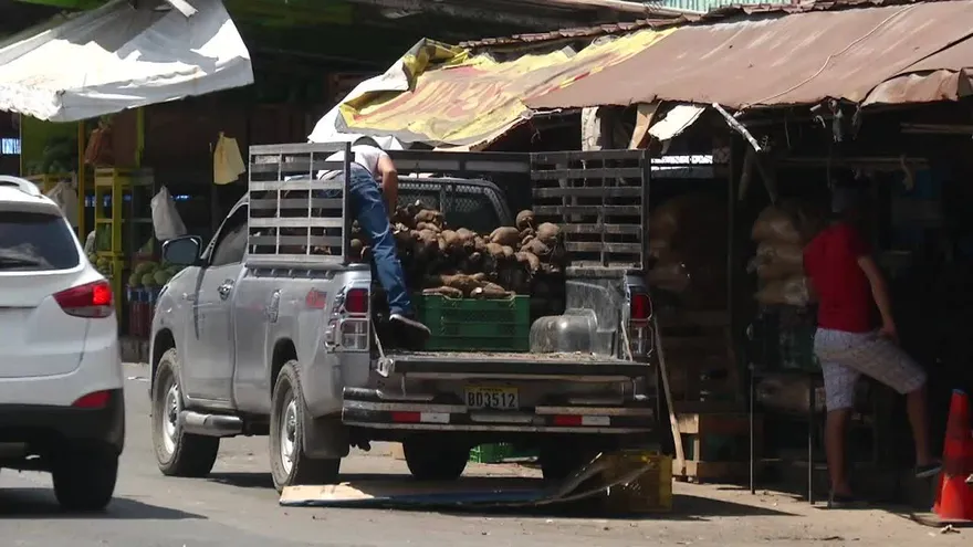 Verduras suben de precio en carnavales