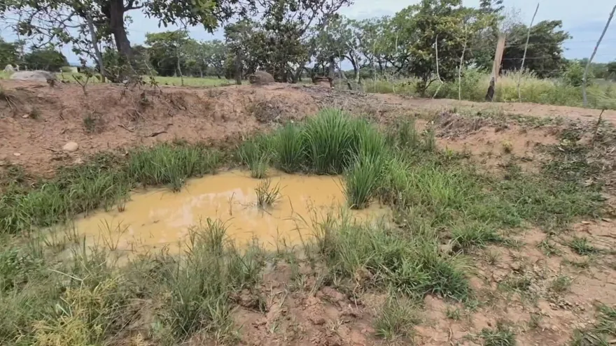 Pequeños productores de Natá en la provincia de Coclé aseguran que llevan prácticamente todo el invierno enfrentando la falta de agua, una situación que amenaza los cultivos de arroz y pone en riesgo los ahorros destinados a la producción durante el año.