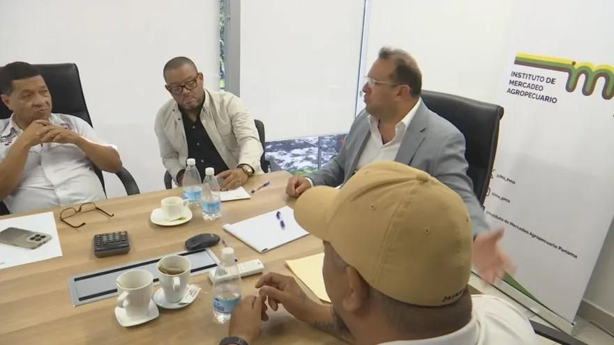 Agroindustria comprará 3 mil cerdos para aliviar sobreproduc