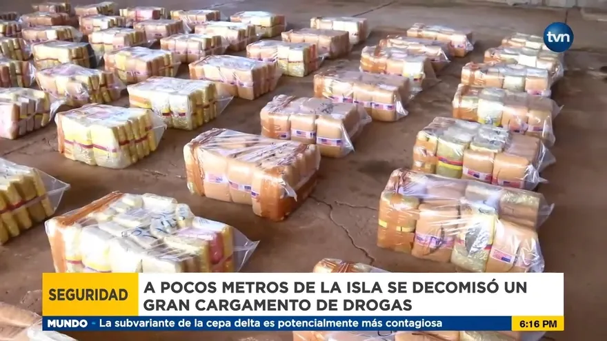 Desmantelan campamento usado para narcotráfico