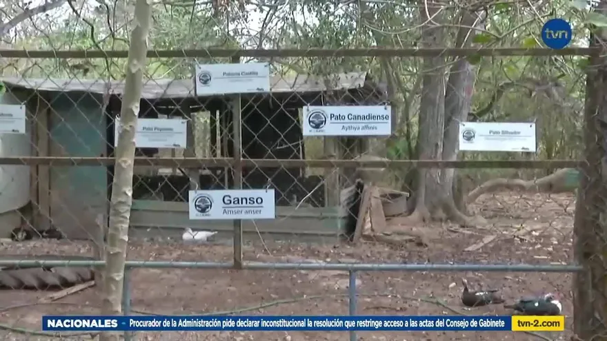 Crean un zoocriadero por amor a la fauna