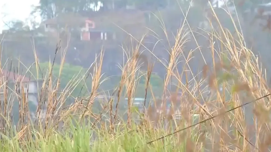 Bomberos en alerta ante quema de herbazales.