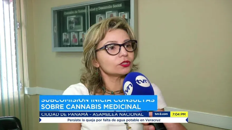 Polémicas por proyecto sobre cannabis medicinal