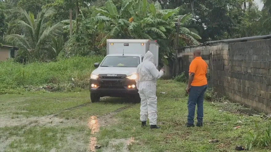 Hallan cuerpo en avanzado estado de descomposición en área boscosa de Cativá en Colón