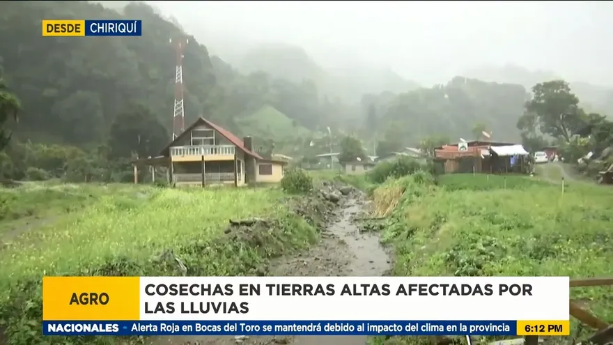 Preocupación en Chiriquí por daños en las cosechas