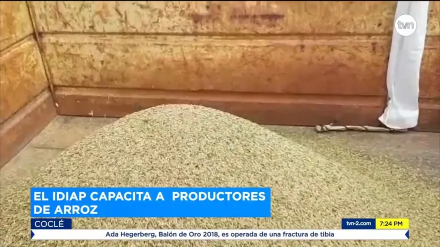 Productores de arroz se capacitan para garantizar el rubro
