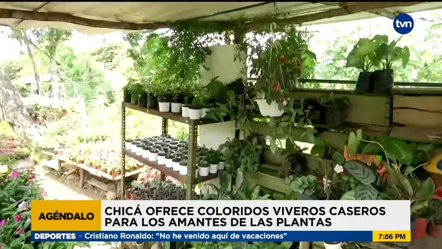 Agéndalo: Conozca las opciones de actividades en Panamá Oeste