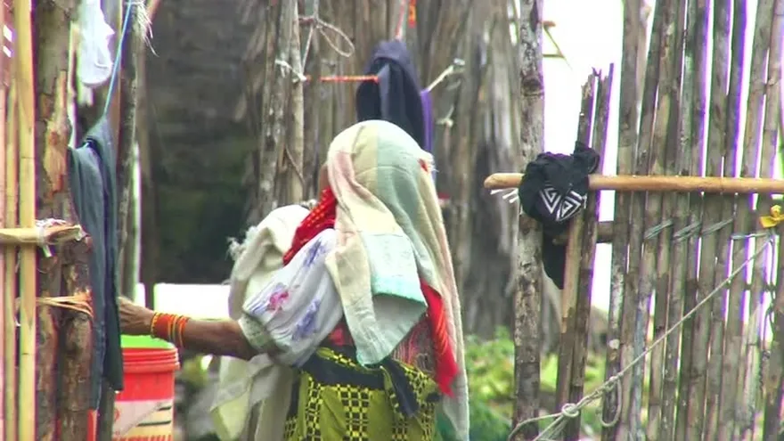 OMS no descarta transmisión de zika por donación de sangre