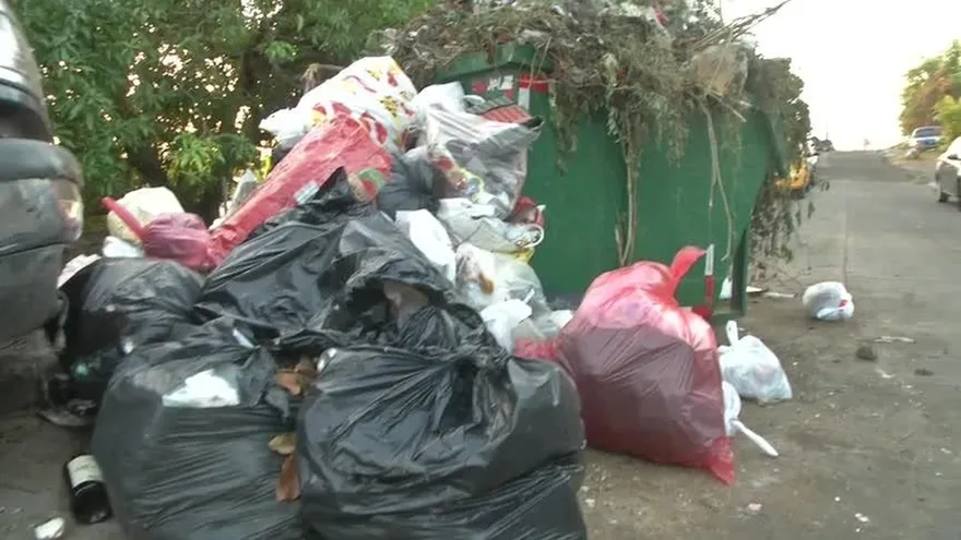 Proliferación de ratas en San Miguelito