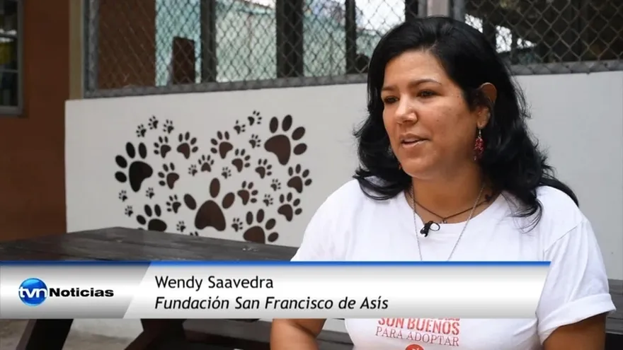 Fundasis colabora con instituciones para el rescate animal