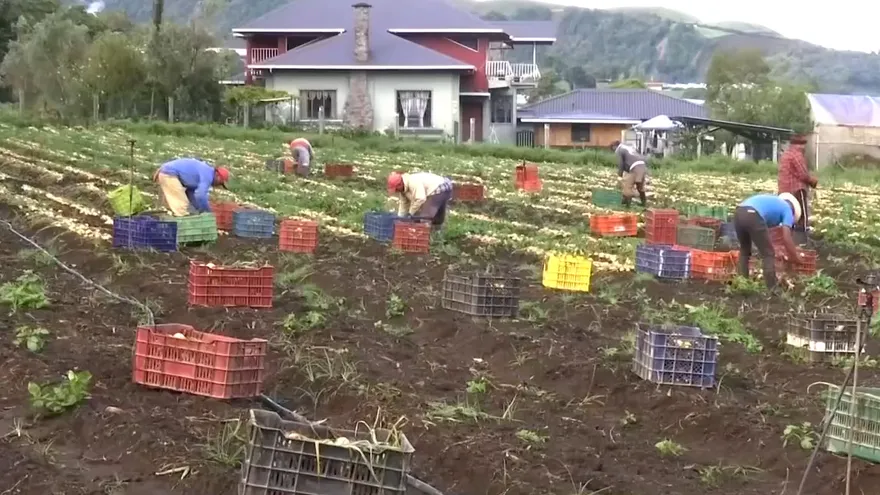 Mundo Verde: Agricultura Regenerativa