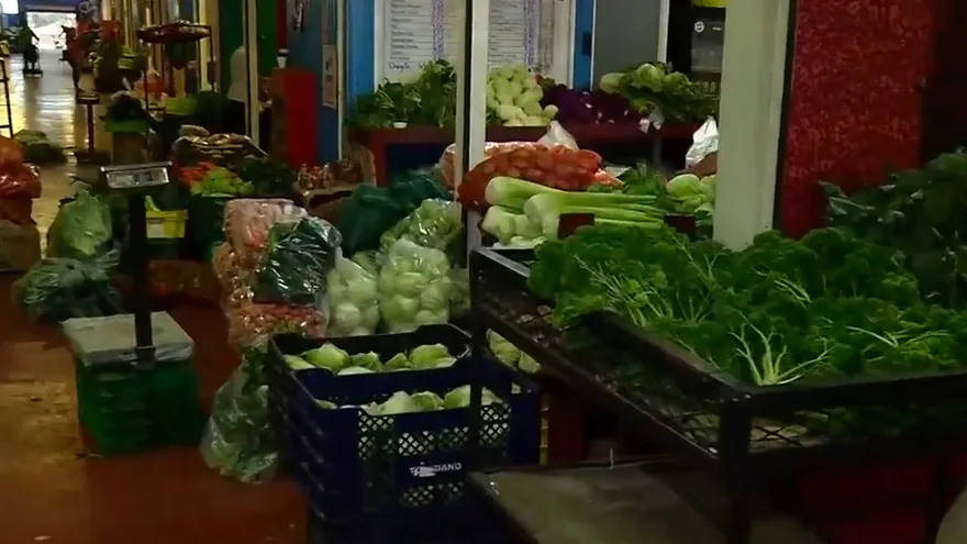 Falta de lluvias afecta las plantaciones