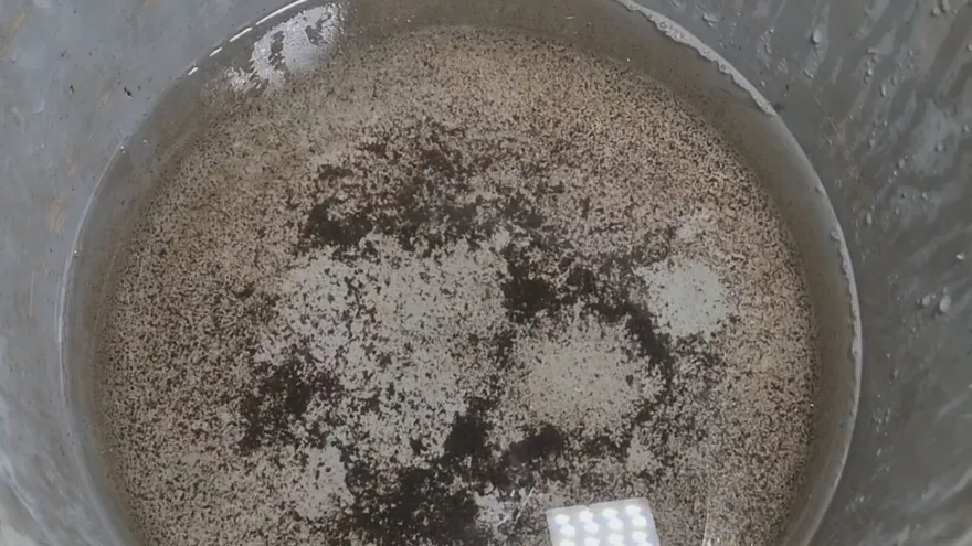 Comunidades de Alanje denuncian agua contaminada y problemas de salud