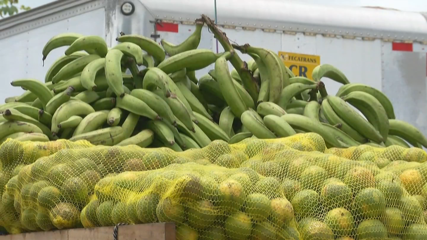 Parte de los productos agrícolas decomisados