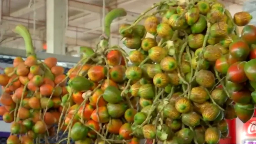 La ciudad capital se quedó sin pixbae