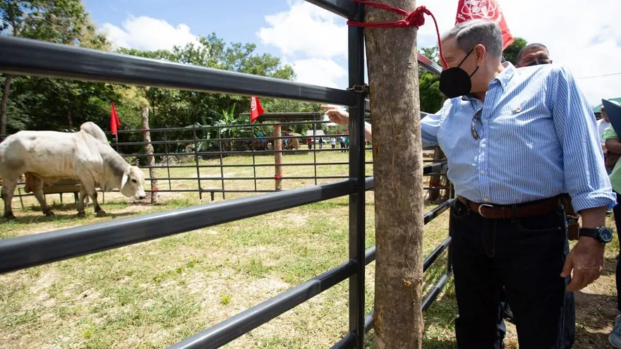 Sementales, préstamos e insumos, otorgados por el Ejecutivo para productores de Coclé. Foto/Vía @NitoCortizo