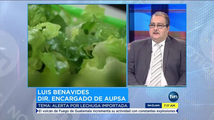 Explican sobre alerta en lechuga romana de EEUU