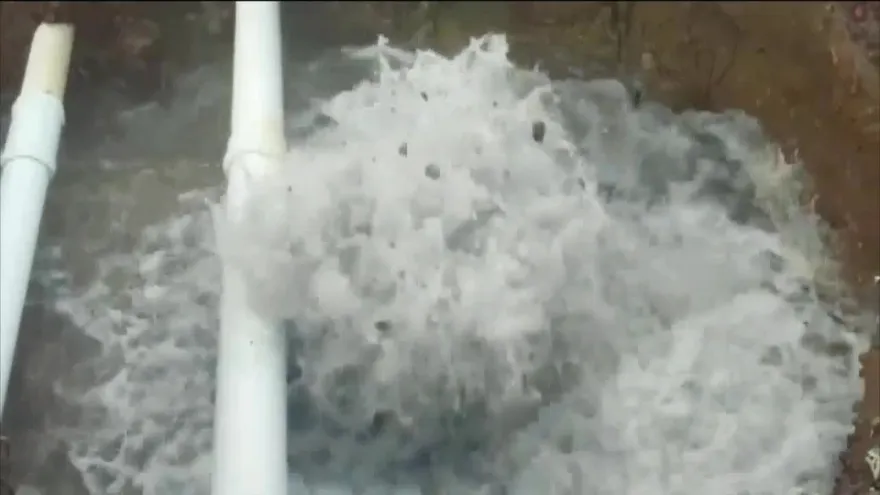 Sectores en Panamá podrían quedarse sin agua por daño en potabilizadora