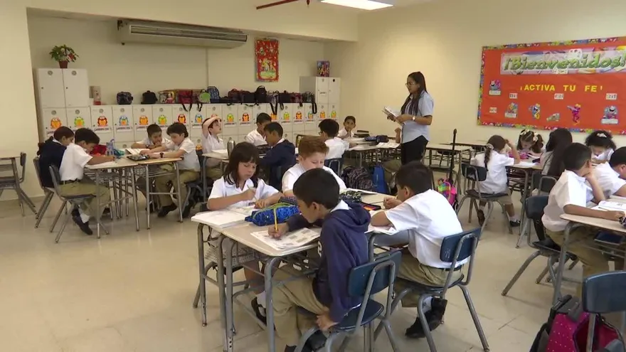 Difunden cadenas falsas sobre calcomanías con droga