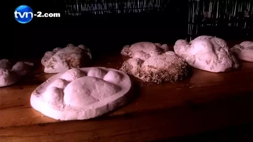 Comunidad en área protegida aprendió a cuidar al jaguar