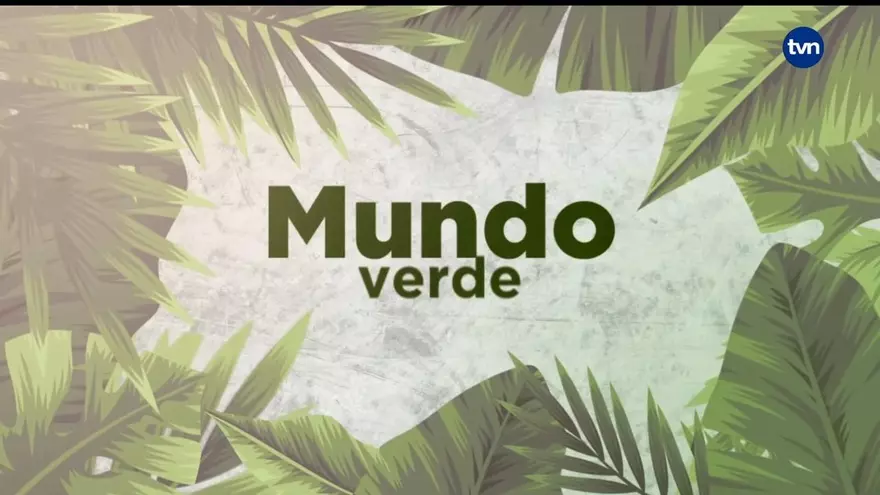 Mundo Verde: Pez León