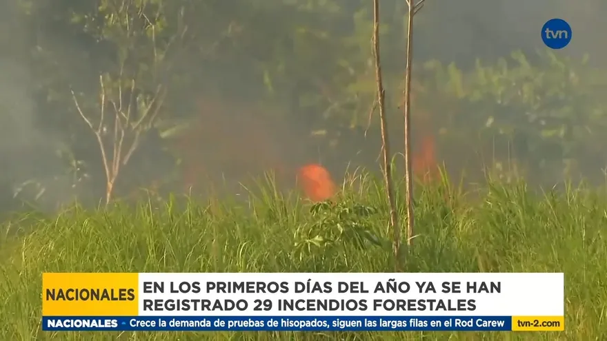 Se registran los primeros incendios forestales en la temporada seca