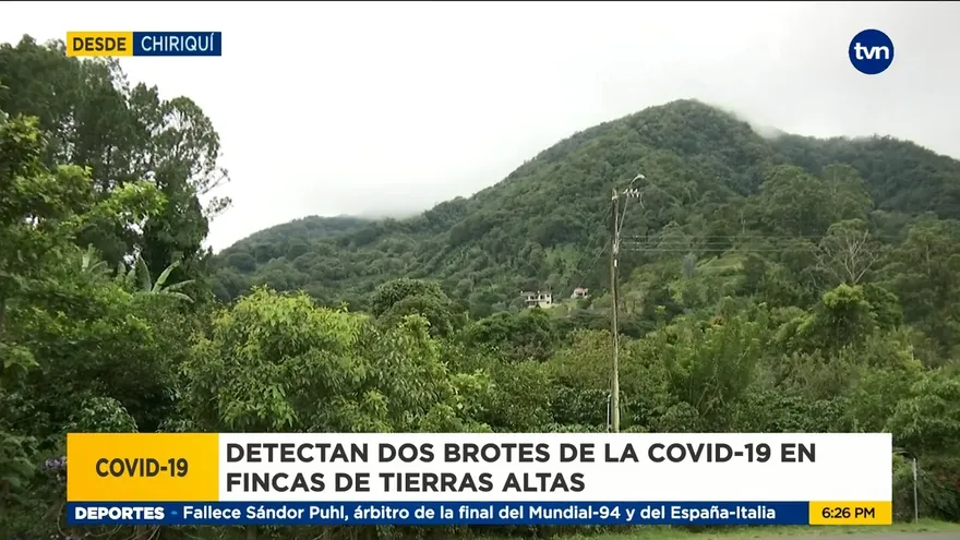 Refuerzan vigilancia en fincas de Tierras Altas