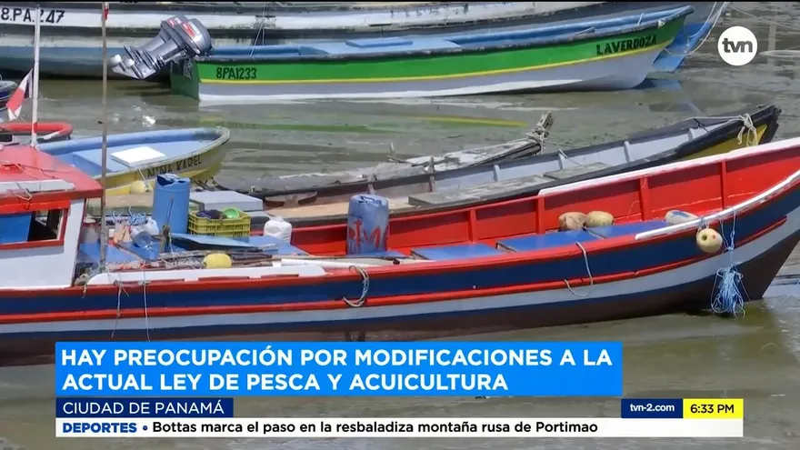 Hay preocupación por modificaciones a la actual ley de pesca y acuicultura