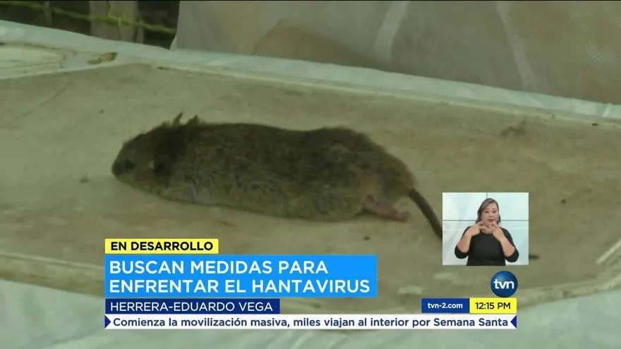 Buscan alternativas para enfrentar el Hantavirus
