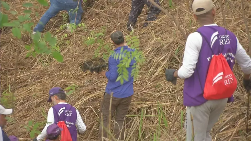 Jornada de reforestación en Cerro La Cruz