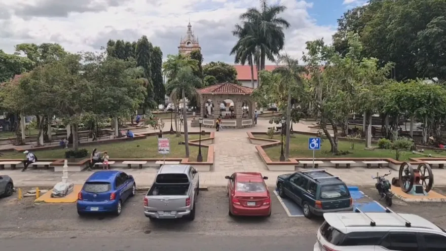 Crearán oficinas de Bienestar Animal y Policía Municipal en Santiago