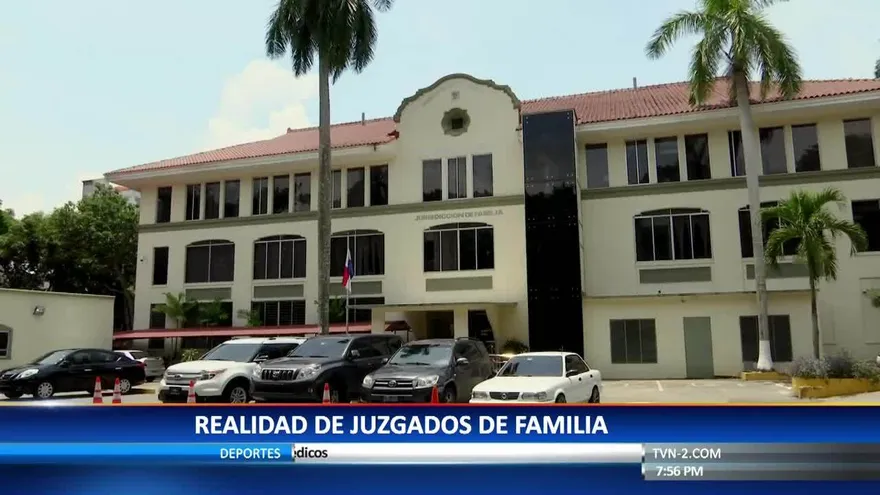 Juzgados de familia: la cruda realidad