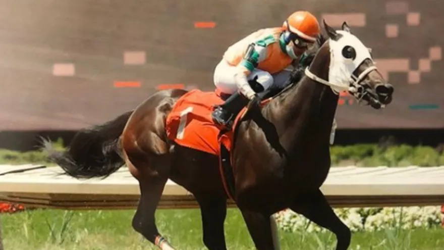 Día de dos ganadores para la panameña Yarmarie Correa en Thistledown, EE.UU.