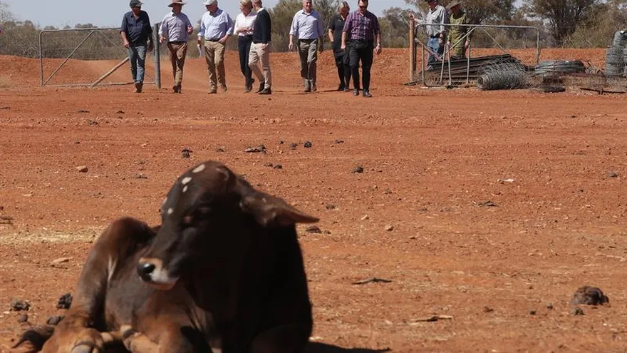 ONU advierte que la sequía en Centroamérica afecta a dos millones de personas.