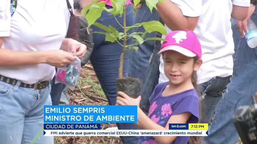 El 22 de junio se celebrará el día nacional de la reforestación