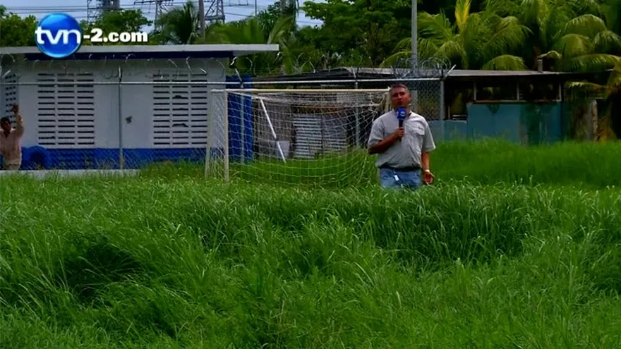 Campos de juegos se pierden en la maleza