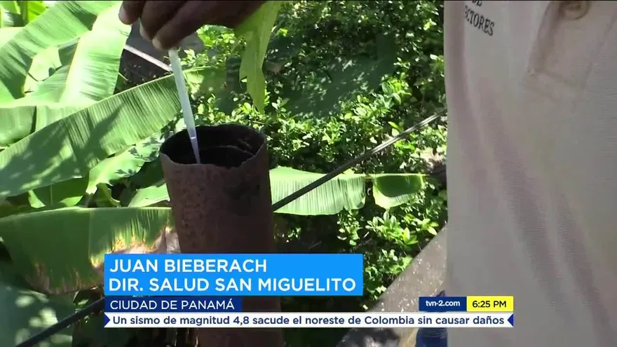 Autoridades preocupadas por aumento de casos de dengue en San Miguelito