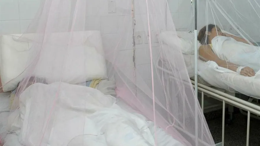 El número de enfermos por dengue clásico este año se mantiene en 6.792, mientras que el grave o hemorrágico lo han contraído unas 3.598 personas, según los registros sanitarios.