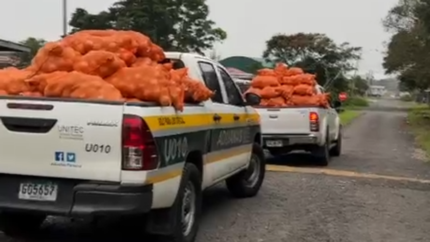 Aduanas decomisa 100 quintales de cebolla de presunto contrabando en Tierras Altas.