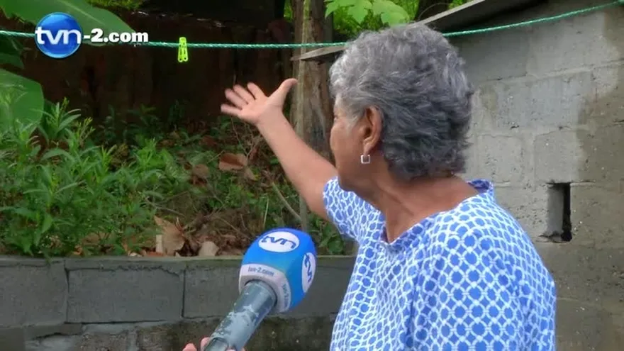 Cementerio de Concepción con más de 15 años de abandono
